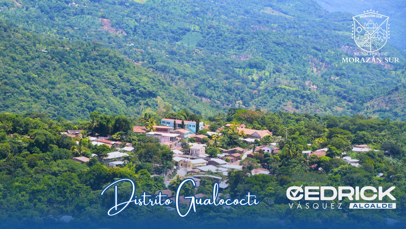 Gualococti-min (1) (1)