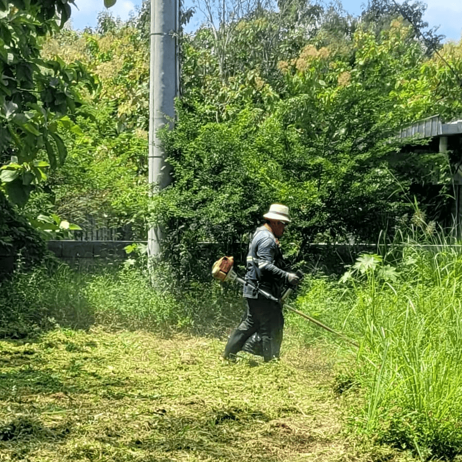 visita-tecnica-5-fixed