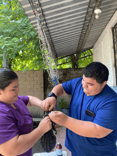 imagen_2025-10-06_192725757